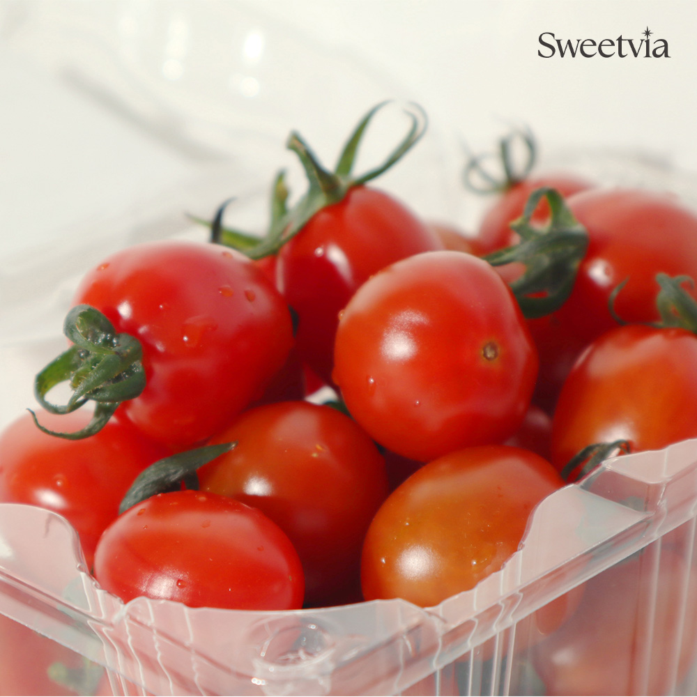 스윗비아 토마토 500g × 2팩